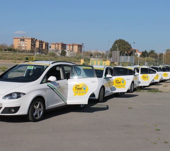 Tele Taxi Mérida hilera de taxis